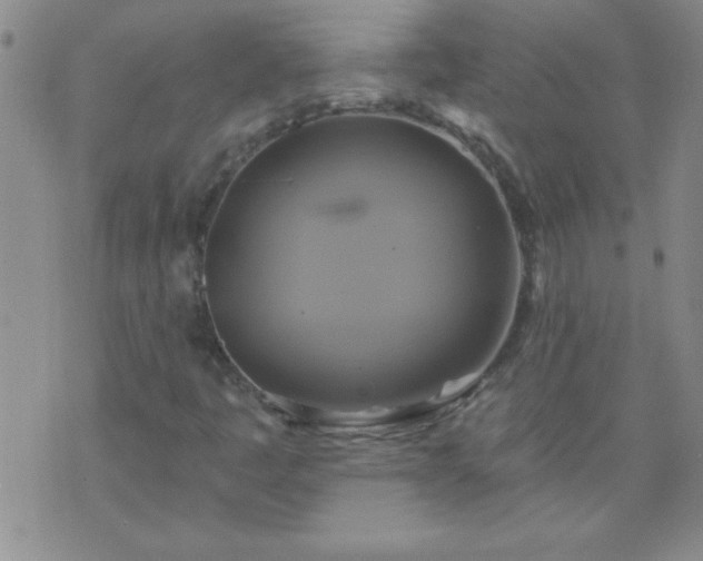 X0000075901445200609221925