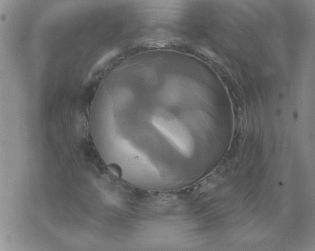 X0000075901446200609221925