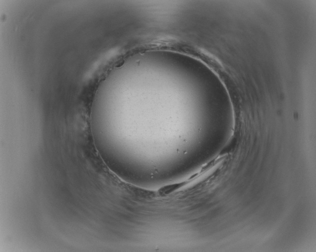 X0000075901447200609221925