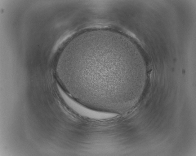 X0000075901448200609221925