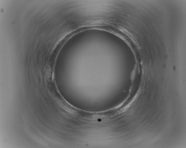 X0000075901449200609221925