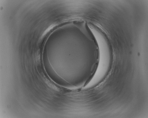 X0000075901450200609221925