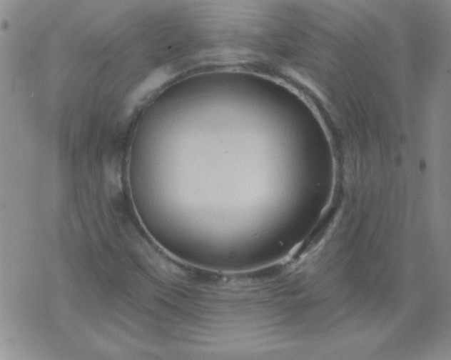 X0000075901451200609221925