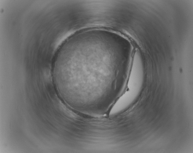 X0000075901452200609221925