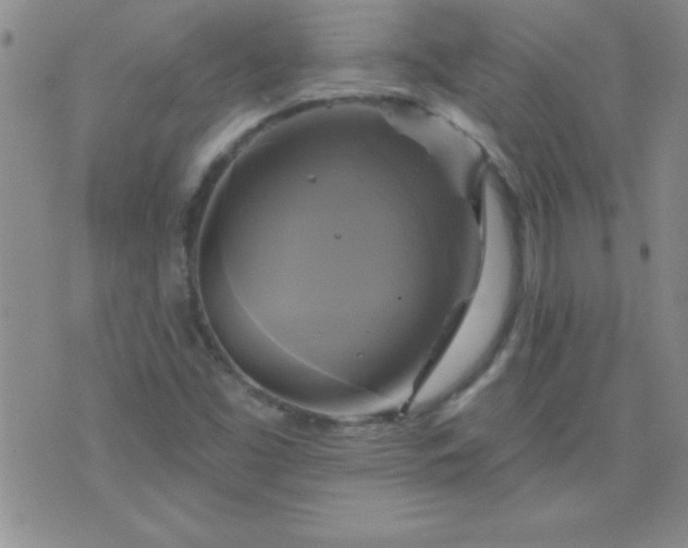 X0000075901453200609221925