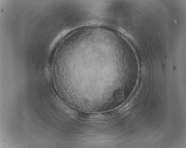 X0000075901454200609221925