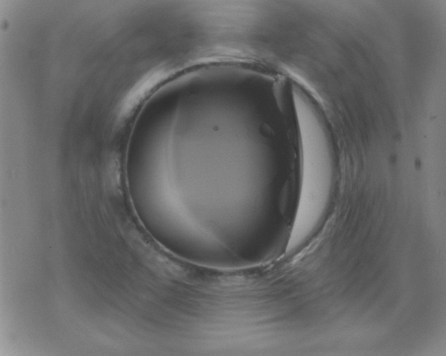 X0000075901455200609221925