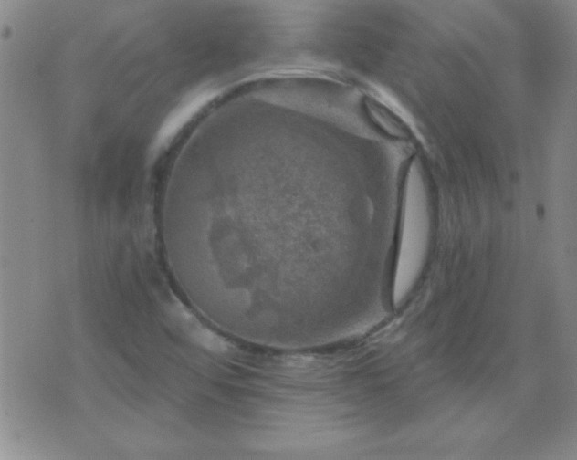 X0000075901456200609221925