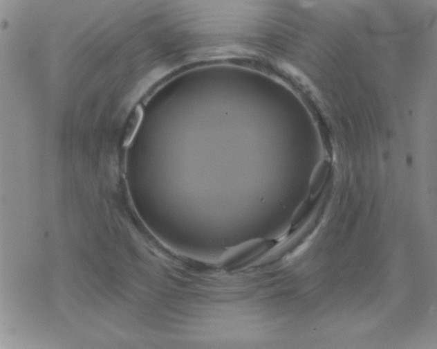 X0000075901457200609221925