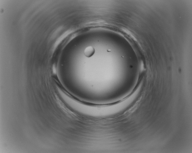 X0000075901458200609221925