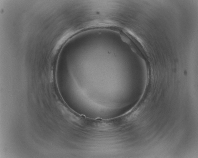 X0000075901459200609221925