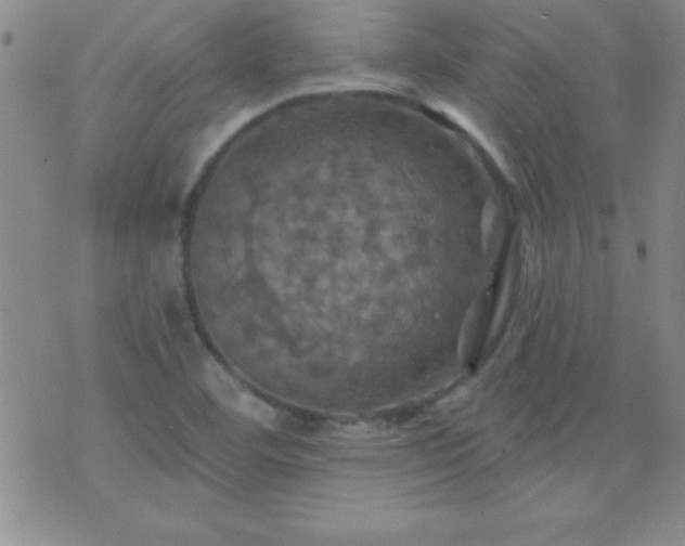 X0000075901460200609221925