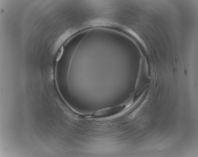 X0000075901461200609221924