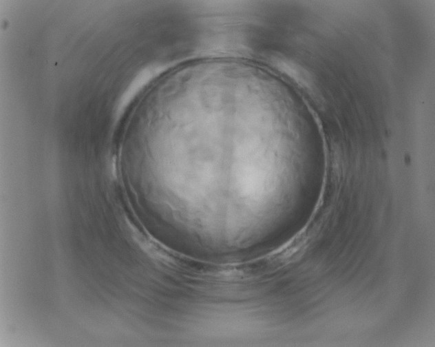 X0000075901462200609221924