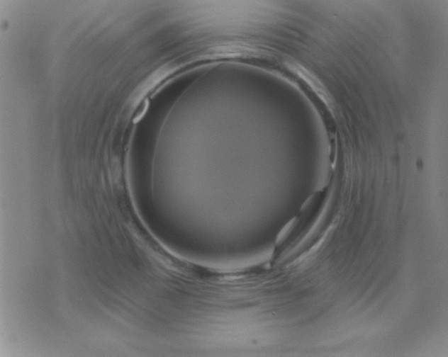 X0000075901465200609221924