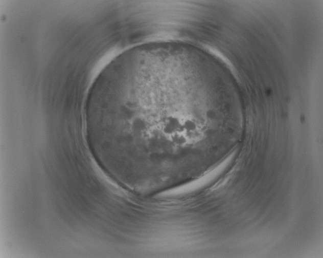 X0000075901467200609221924