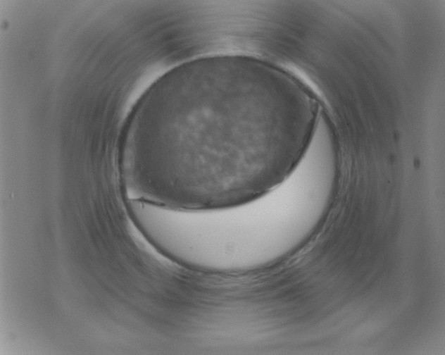 X0000075901468200609221924