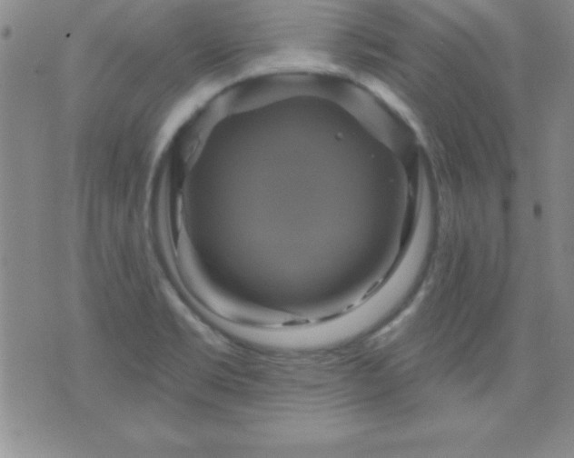 X0000075901469200609221924