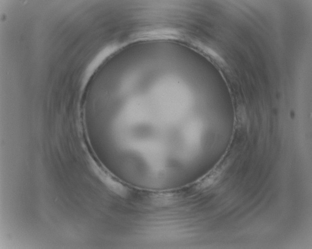 X0000075901470200609221924