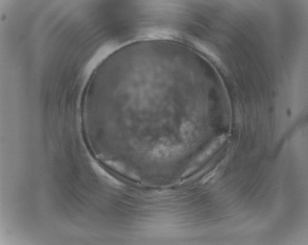 X0000075901471200609221924