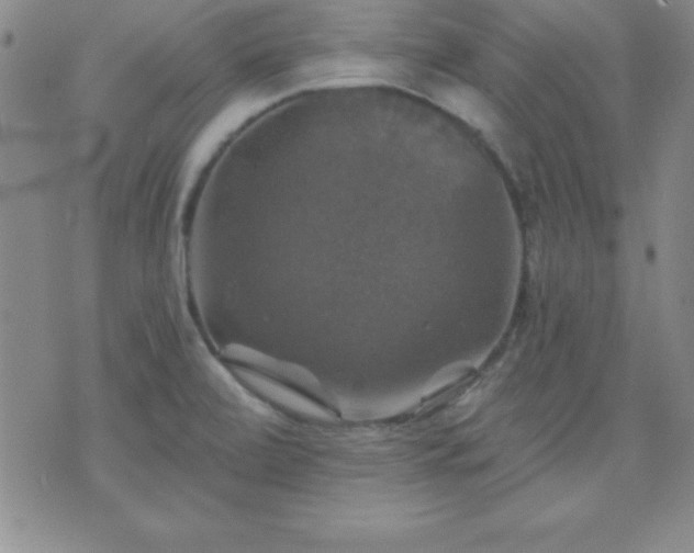 X0000075901472200609221924