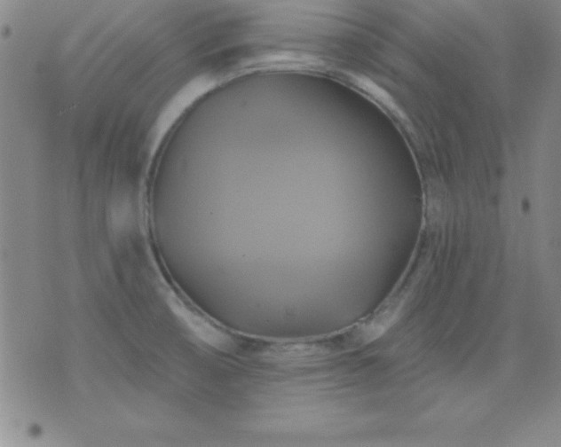 X0000075901474200609221924