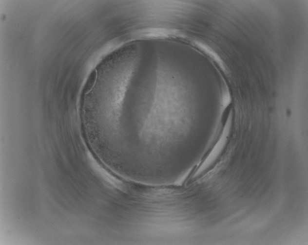 X0000075901475200609221924