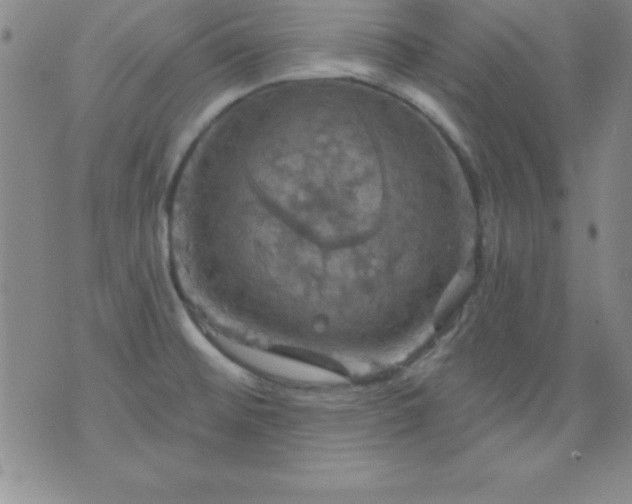 X0000075901476200609221924