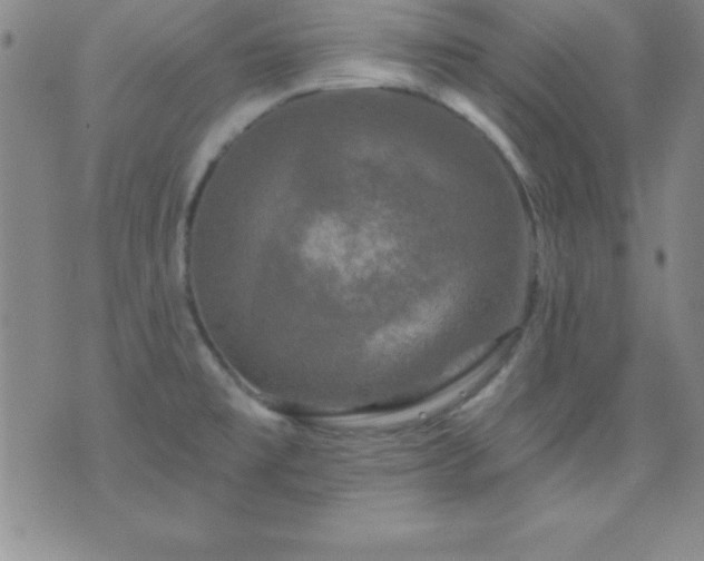 X0000075901477200609221924