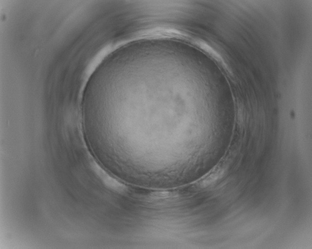 X0000075901478200609221924