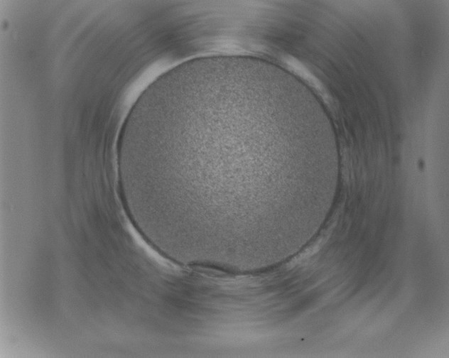 X0000075901479200609221924