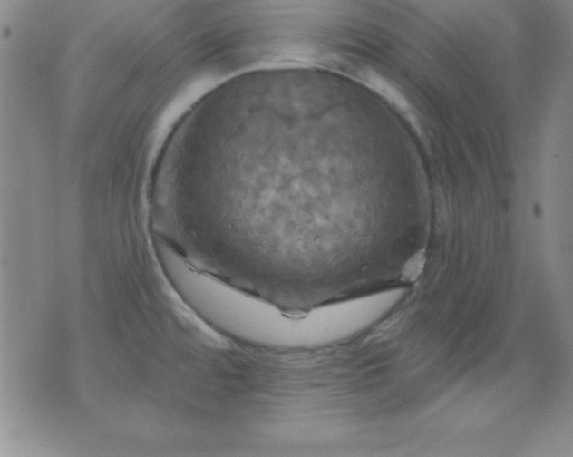 X0000075901480200609221924