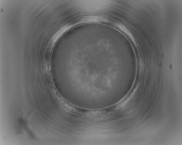 X0000075901481200609221924