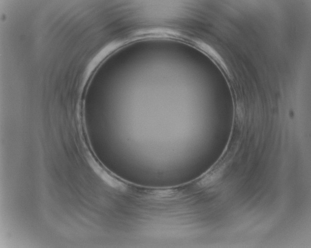 X0000075901482200609221924