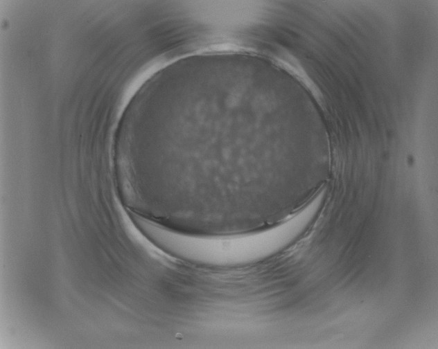 X0000075901483200609221924