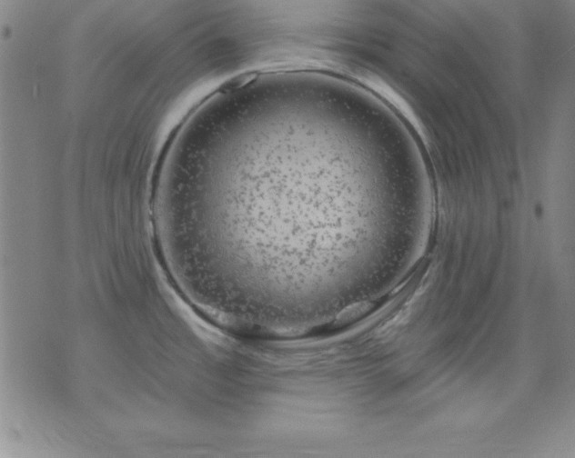 X0000075901485200609221924