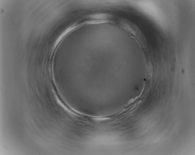 X0000075901487200609221924