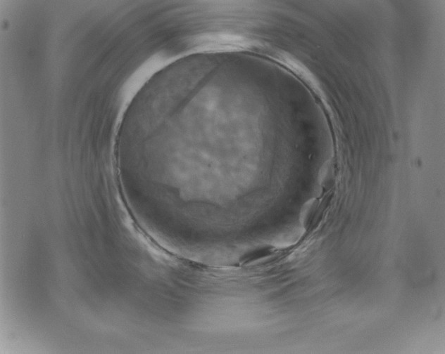 X0000075901488200609221924