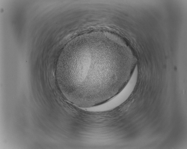 X0000075901489200609221923