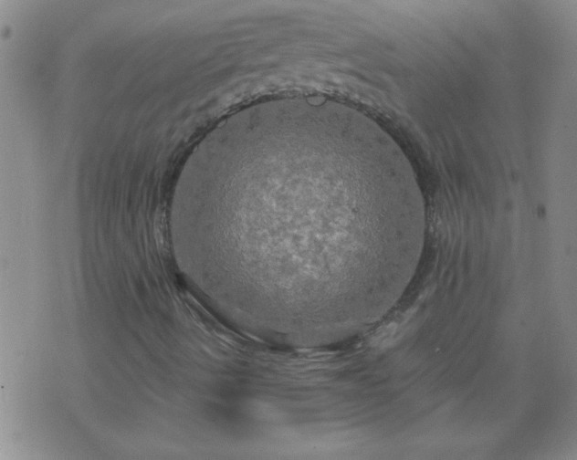 X0000075901490200609221923