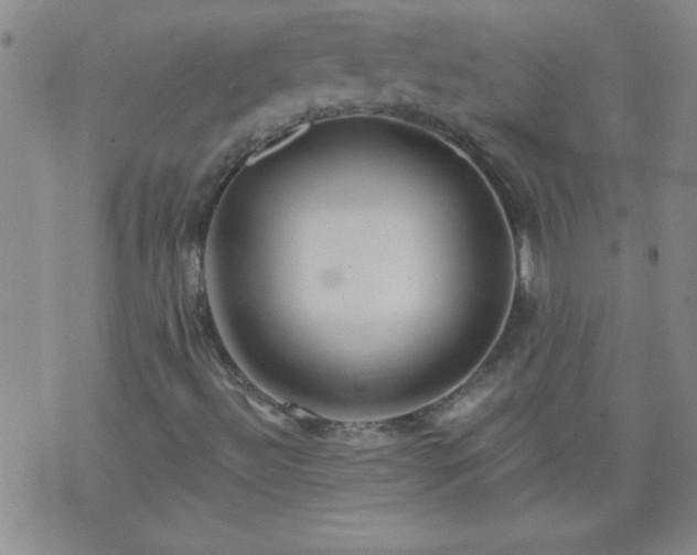 X0000075901492200609221923