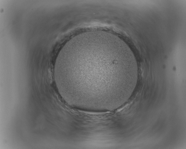 X0000075901493200609221923