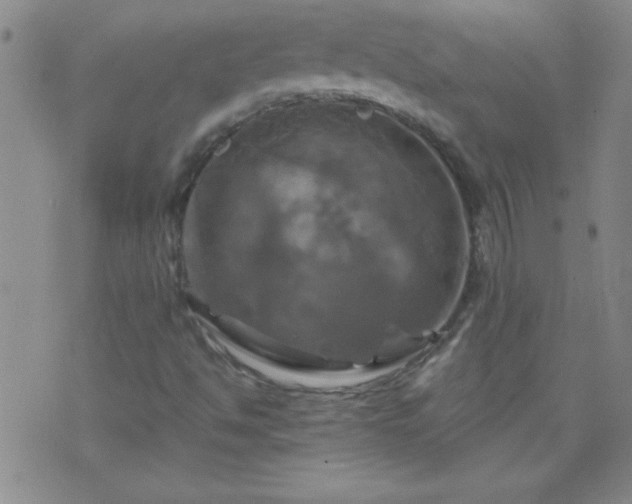 X0000075901494200609221923