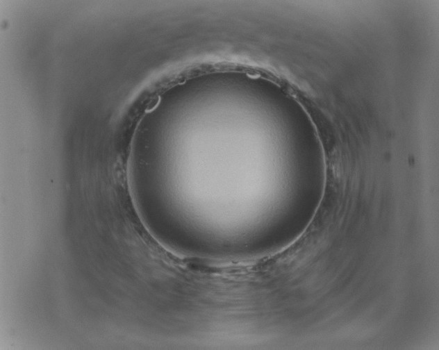 X0000075901495200609221923