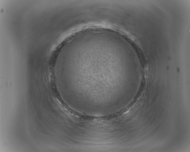 X0000075901496200609221923