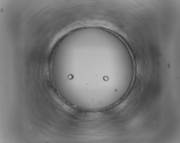 X0000075901498200609221923