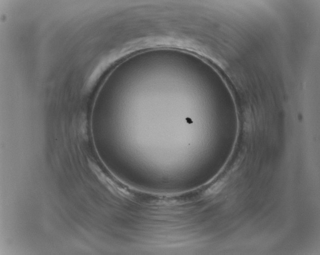 X0000075901499200609221923