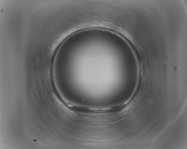 X0000075901500200609221923