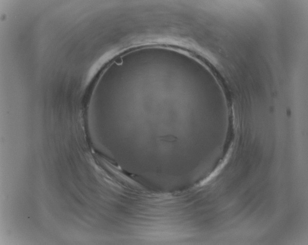 X0000075901501200609221923