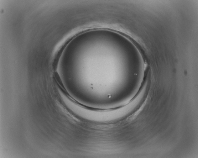 X0000075901502200609221923